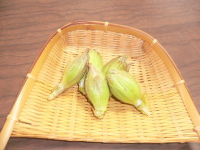 e0088531_2125399.jpg