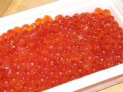 e0048933_1910937.jpg