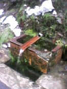 f0052337_14272160.jpg