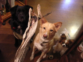 c0065643_22283353.jpg