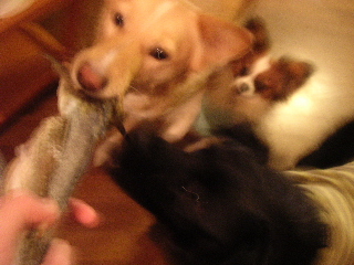 c0065643_22345176.jpg