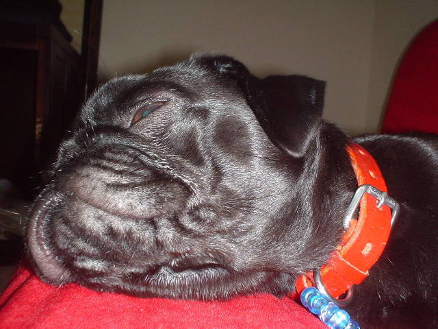 e0040544_0232538.jpg