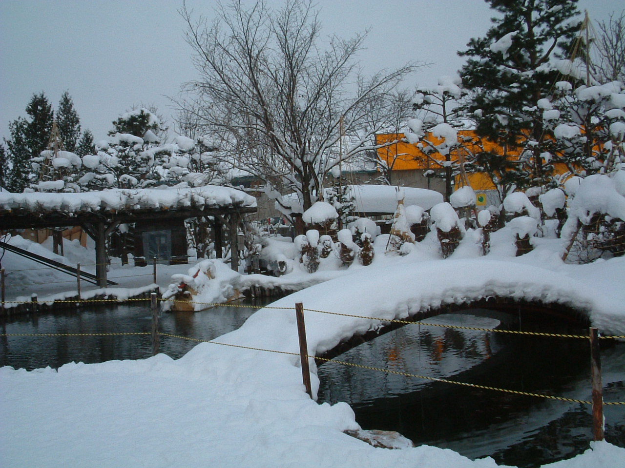 c0074846_422237.jpg