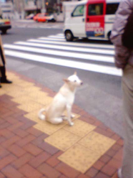 a0032148_1921357.jpg