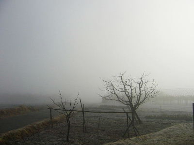b0015260_1235712.jpg
