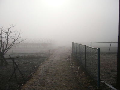 b0015260_1251655.jpg