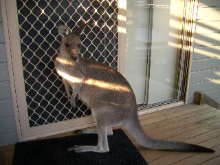 e0005462_6473080.jpg