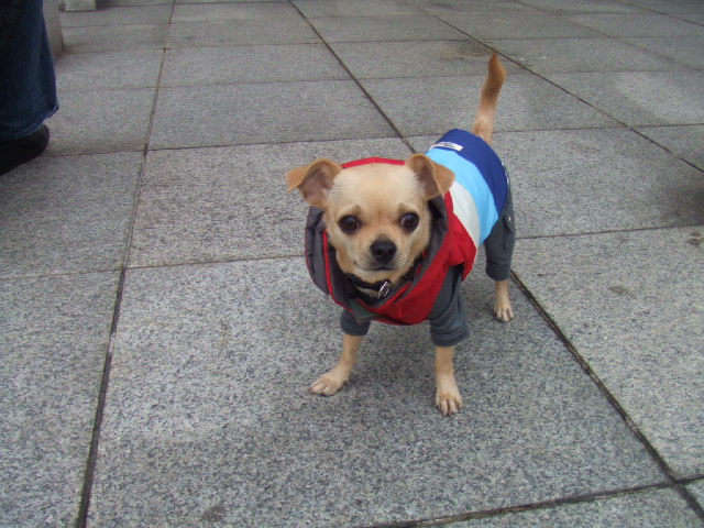 a0067882_23383246.jpg