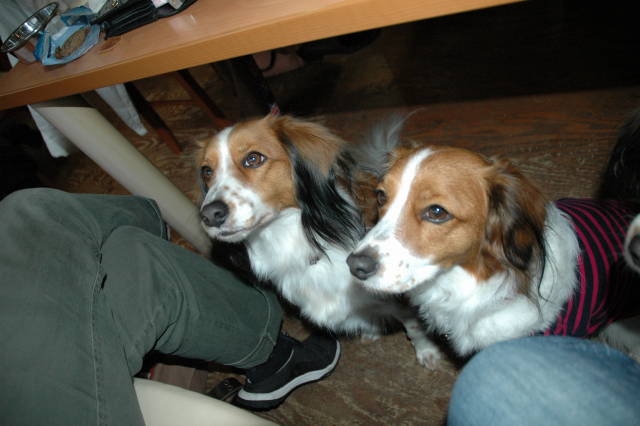 c0075585_132877.jpg