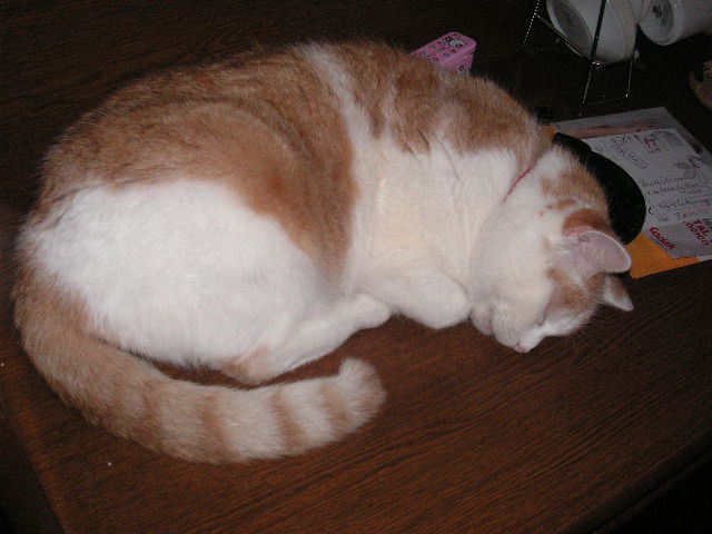f0044892_9184047.jpg