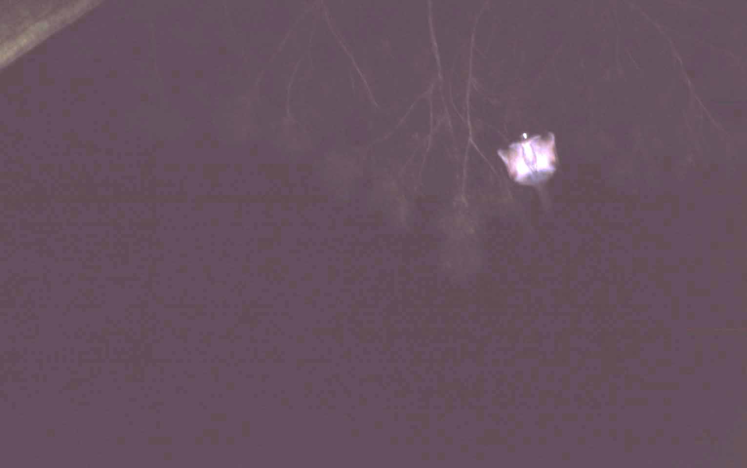 f0047593_1011139.jpg