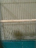 c0027700_1725630.jpg
