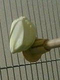c0027700_1725685.jpg