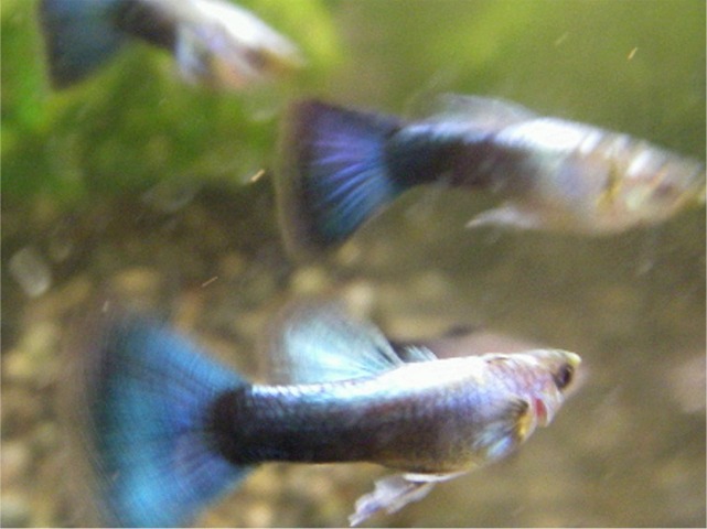 e0010301_16241855.jpg
