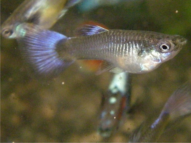 e0010301_164150100.jpg