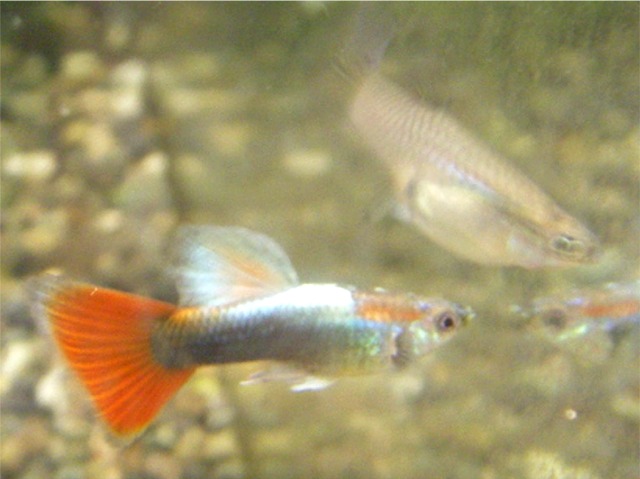e0010301_16435398.jpg