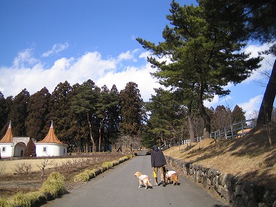 e0014801_18105334.jpg