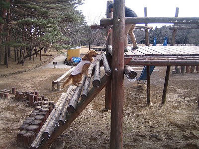 e0014801_22584338.jpg