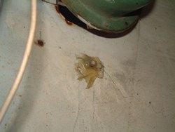 e0023225_23511854.jpg