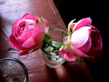 f0006732_22183429.jpg