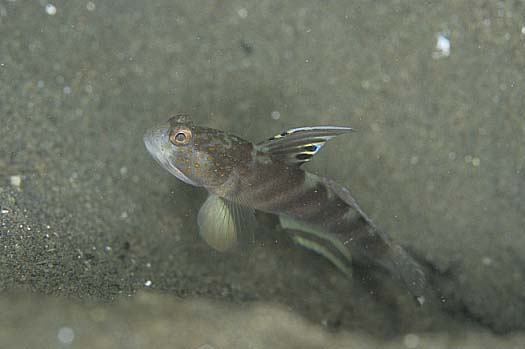 b0042837_1844450.jpg
