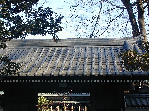 b0021251_19375320.jpg