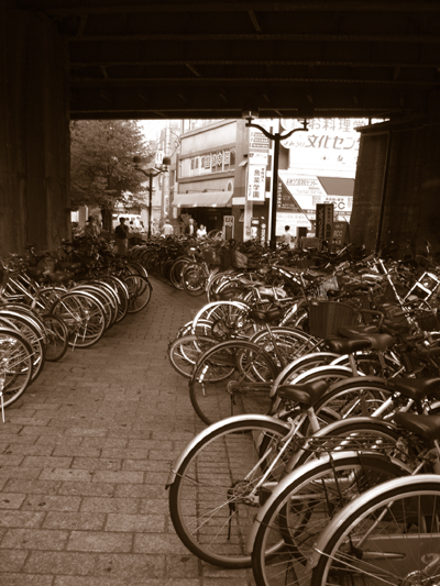a0047567_037508.jpg