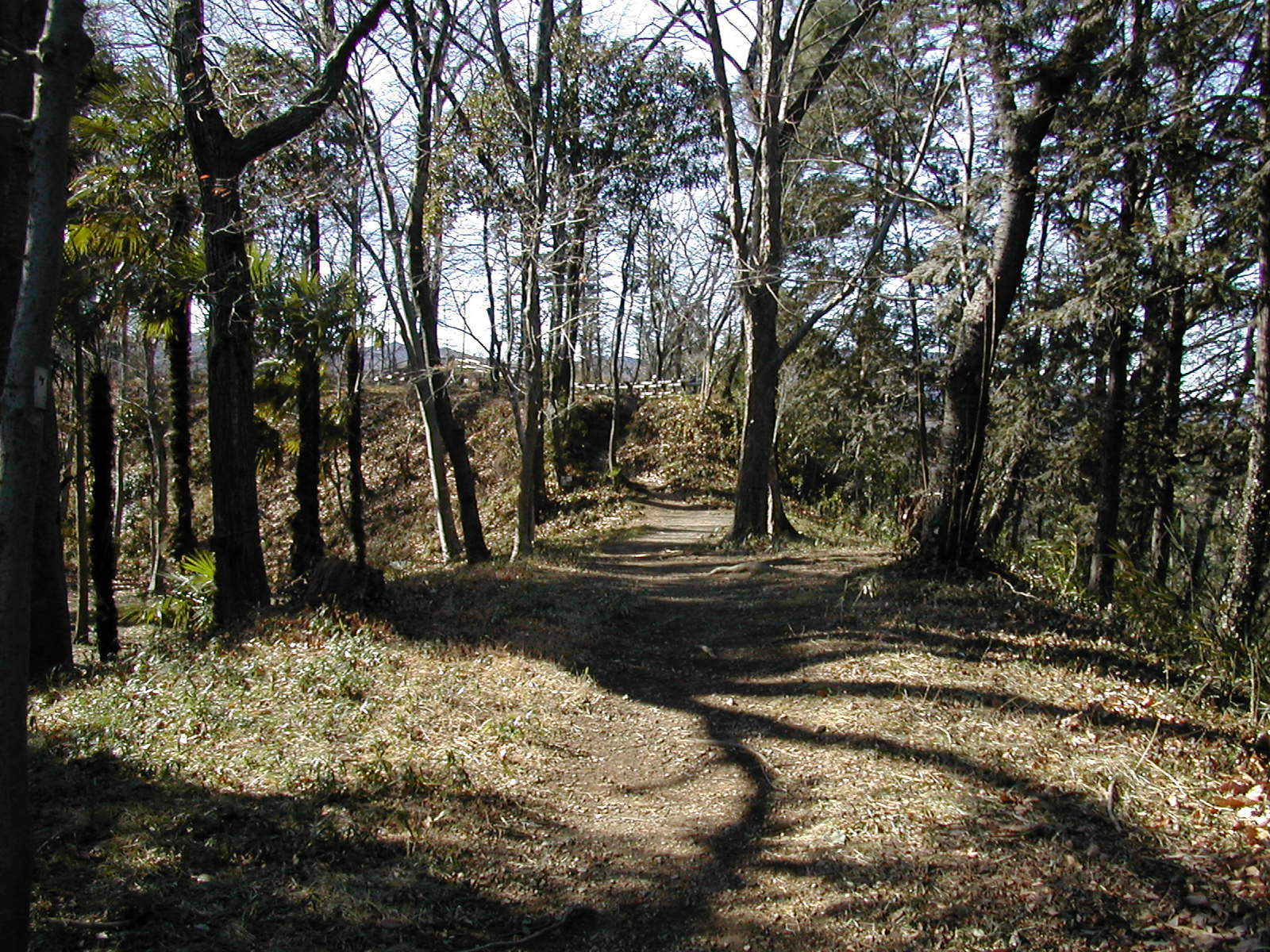 b0032079_0102228.jpg