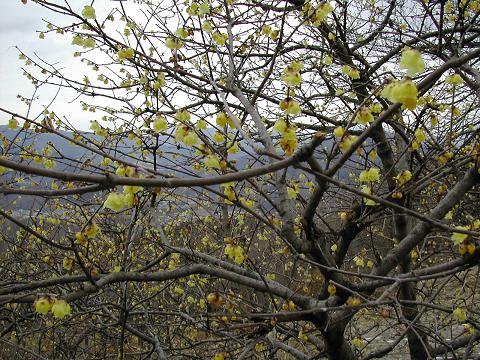 b0032079_011176.jpg