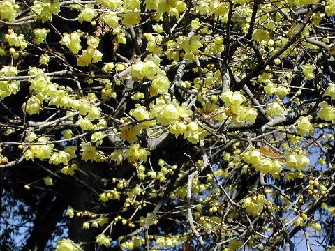b0032079_0334113.jpg