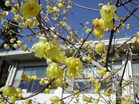 b0032079_081921.jpg