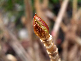 c0045882_2343859.jpg
