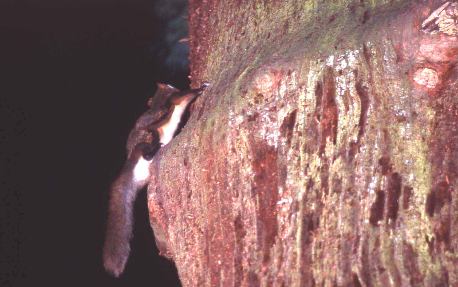 f0047593_1134425.jpg