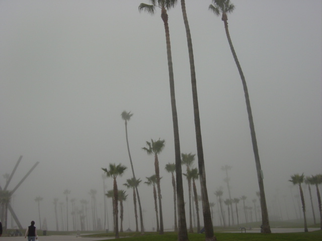 c0048504_3504265.jpg