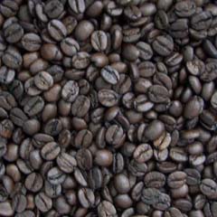 c0036617_7442917.jpg