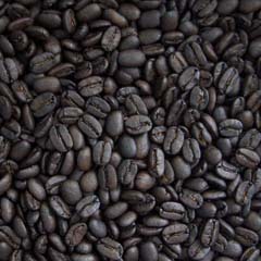 c0036617_749278.jpg