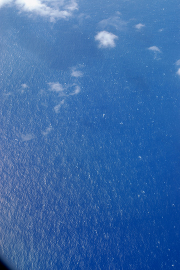 f0009722_12172671.jpg