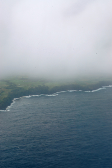 f0009722_12175713.jpg
