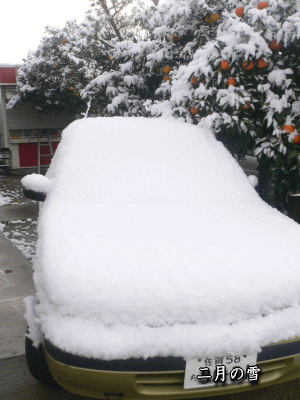 e0088531_11201293.gif