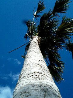 c0046535_22442143.jpg
