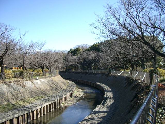 c0034850_16375540.jpg