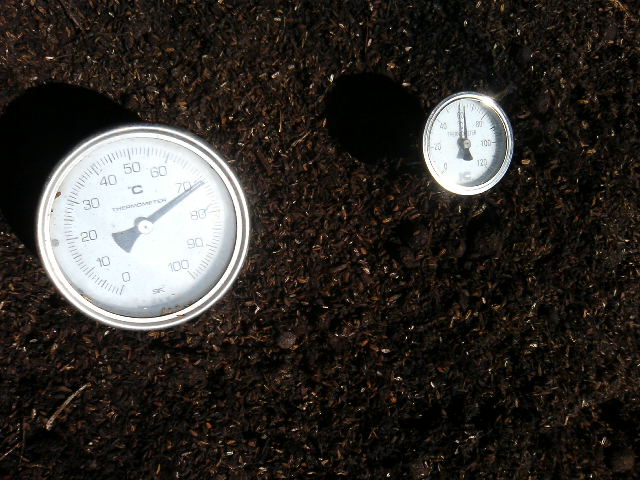 f0057955_202577.jpg
