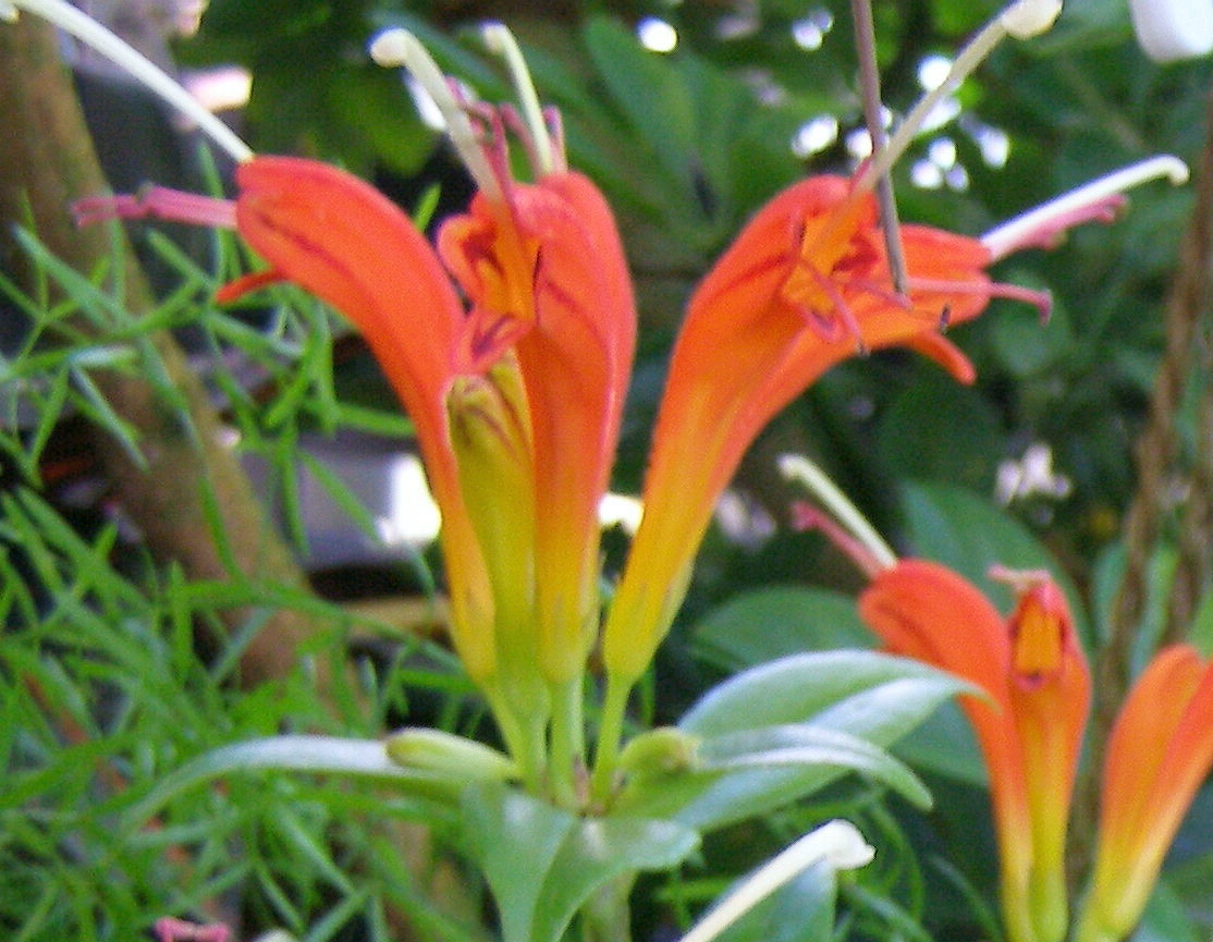 e0064158_18998.jpg