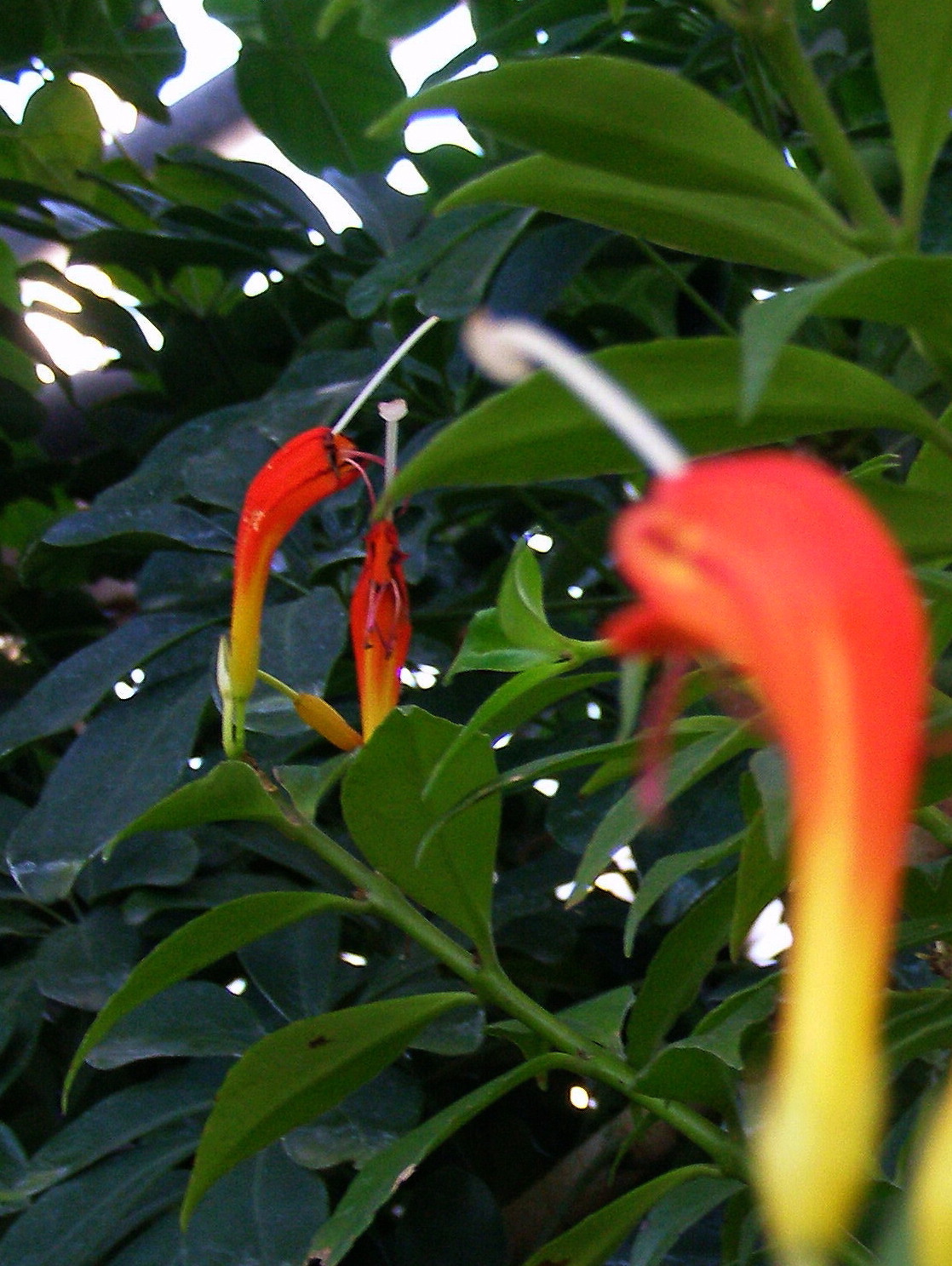e0064158_19033.jpg
