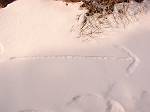 b0042468_16545340.jpg