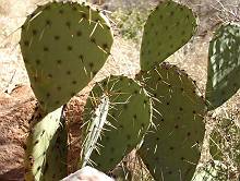 b0042468_18322985.jpg