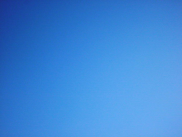 f0033980_1044032.jpg