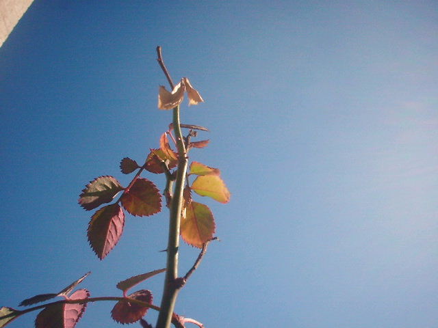 f0033980_10441151.jpg