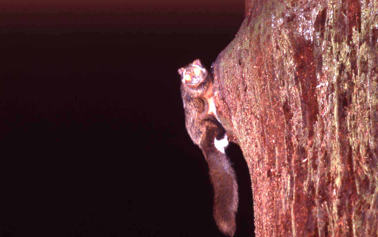 f0047593_20341729.jpg