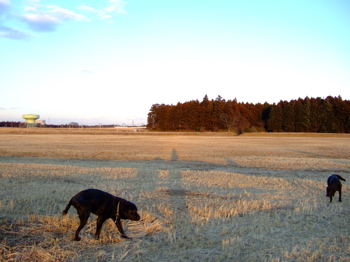 f0001698_22272566.jpg